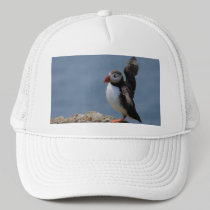 Flapping Puffin Hat