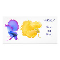 Flaring Betta Fish Photo Card