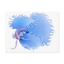 Flaring Betta Splendens Postcard
