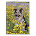 Flash cards by Trudy2 Flash cards