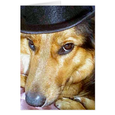 Flash Card by Trudy2