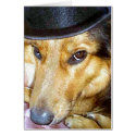 Flash cards by Trudy2 Flash cards
