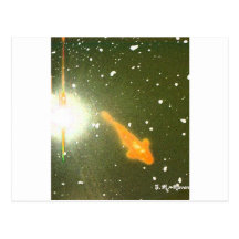Flash de Koi Postales