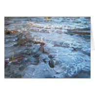 Flash Freeze ~ card card