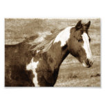 Flashy Tobinano Mare Sepia Photographic Print