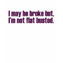 Flat Busted (Sarah Palin Shirt) by worldsfair Flat Busted (Sarah Palin Shirt)