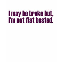 Flat Busted (Sarah Palin Shirt) by worldsfair Flat Busted (Sarah Palin Shirt)