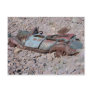 Flat car_28 postcard