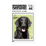 Flat Coated Retriever 9Y040D-040 postage