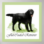 Flat-Coated Retriever Art Print