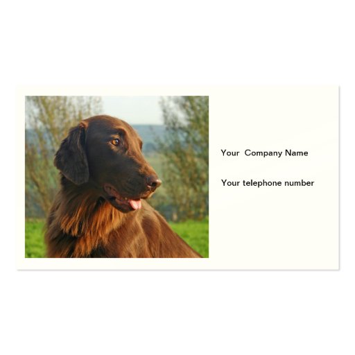Flat Coated Retriever dog photo business card (front side)