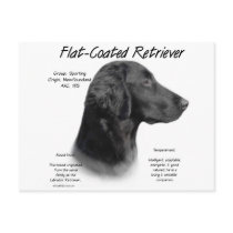 Flat-Coated Retriever History Design Postcard