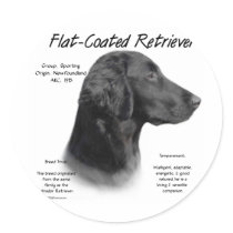 Flat-Coated Retriever History Design Round Stickers