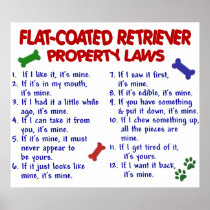 FLAT COATED RETRIEVER PL2 POSTER