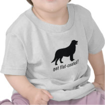 Flat-coated Retriever Tshirts
