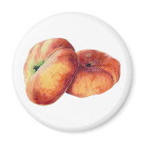 Flat Nectarines Magnet by floatinglemons Flat Nectarines Magnet