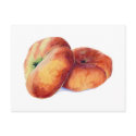 Flat Nectarines Postcard by floatinglemons Flat Nectarines Postcard
