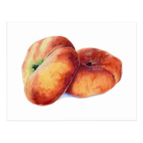 Flat Nectarines Postcard postcards