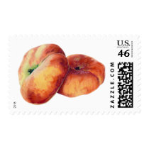 Flat Nectarines Stamp stamps