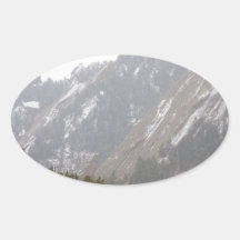 Flatiron.jpg Oval Sticker
