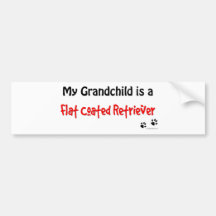 Flattie Grandchild Bumper Stickers