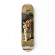 Flavio 002 skateboards