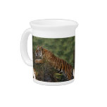 Flavio 007 drink pitchers