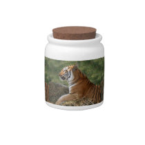 Flavio 011 candy jars