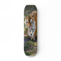 Flavio 012 skateboards