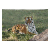 Flavio 013 placemats