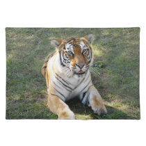 Flavio 015 placemats