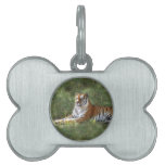 Flavio 016 pet name tag