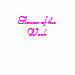 Ladies Baby Doll (Fitted)