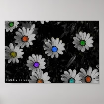 Flavored Daisies Print