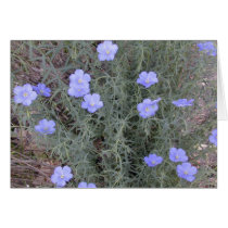 Flax blossoms card by serenity_ii Flax blossoms card