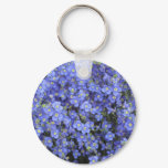 Flax Flowers at Longwood Gardens, Pennsylvania