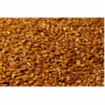 Flax seed photo cut out