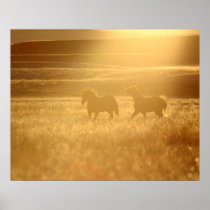 Flaxen Fields posters