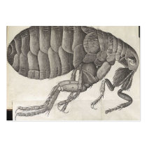 Flea Business Card