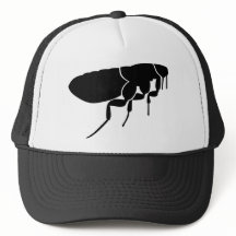 Flea Hat