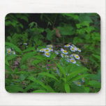 Fleabane Flower Mousepad