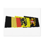 Flemish Brabant Waving Flags Trio Postcard