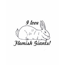 Flemish Giant Rabbit Ladies T-Shirt