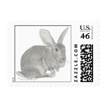Flemish Giant Rabbit Sketch Postage