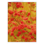 template, card template, fleur, flower, flowers,