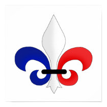 Fleur de lis France flag colours posters