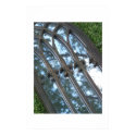 Fleur de Lis posters