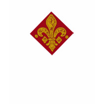 Fleur De Lis t-shirts by figstreetstudio Fleur De Lis t-shirts