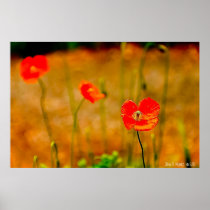 Fleur de Tres- Fine Art Photography Poster