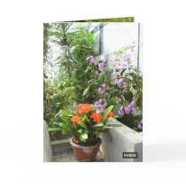 Fleurs cards